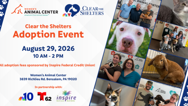 E-news Updates – August 28, 2026